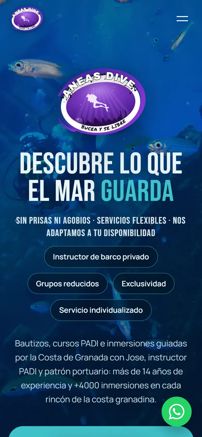 La web de Aneas Dive en el móvil